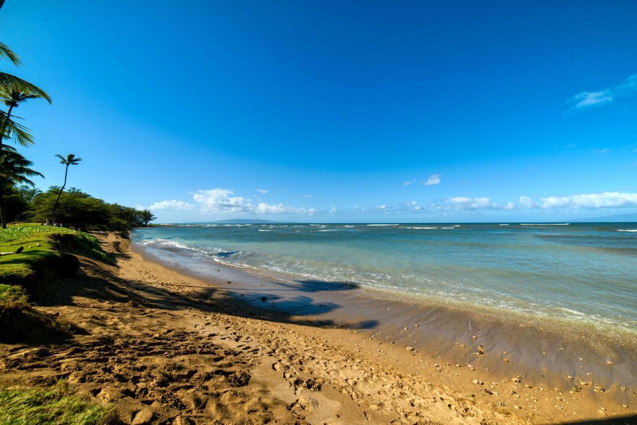 Gorgeous Oceanfront Condo With Spectacular Views! Kihei Dış mekan fotoğraf