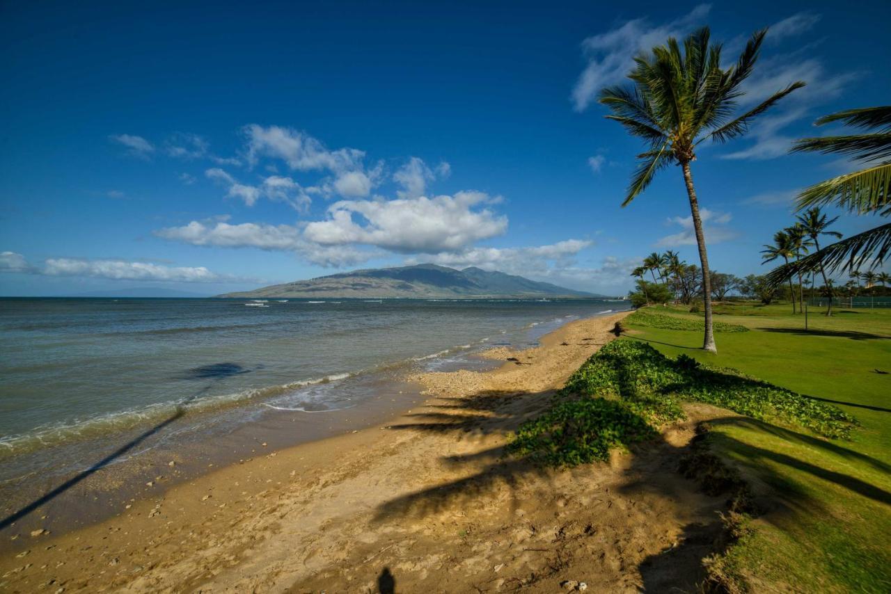 Gorgeous Oceanfront Condo With Spectacular Views! Kihei Dış mekan fotoğraf