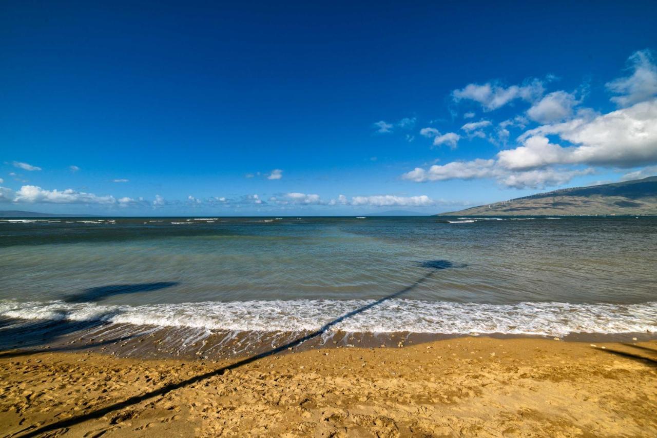 Gorgeous Oceanfront Condo With Spectacular Views! Kihei Dış mekan fotoğraf